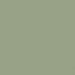 Banana Leaf